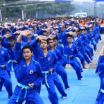 Vovinam – The Vietnamese Martial Art